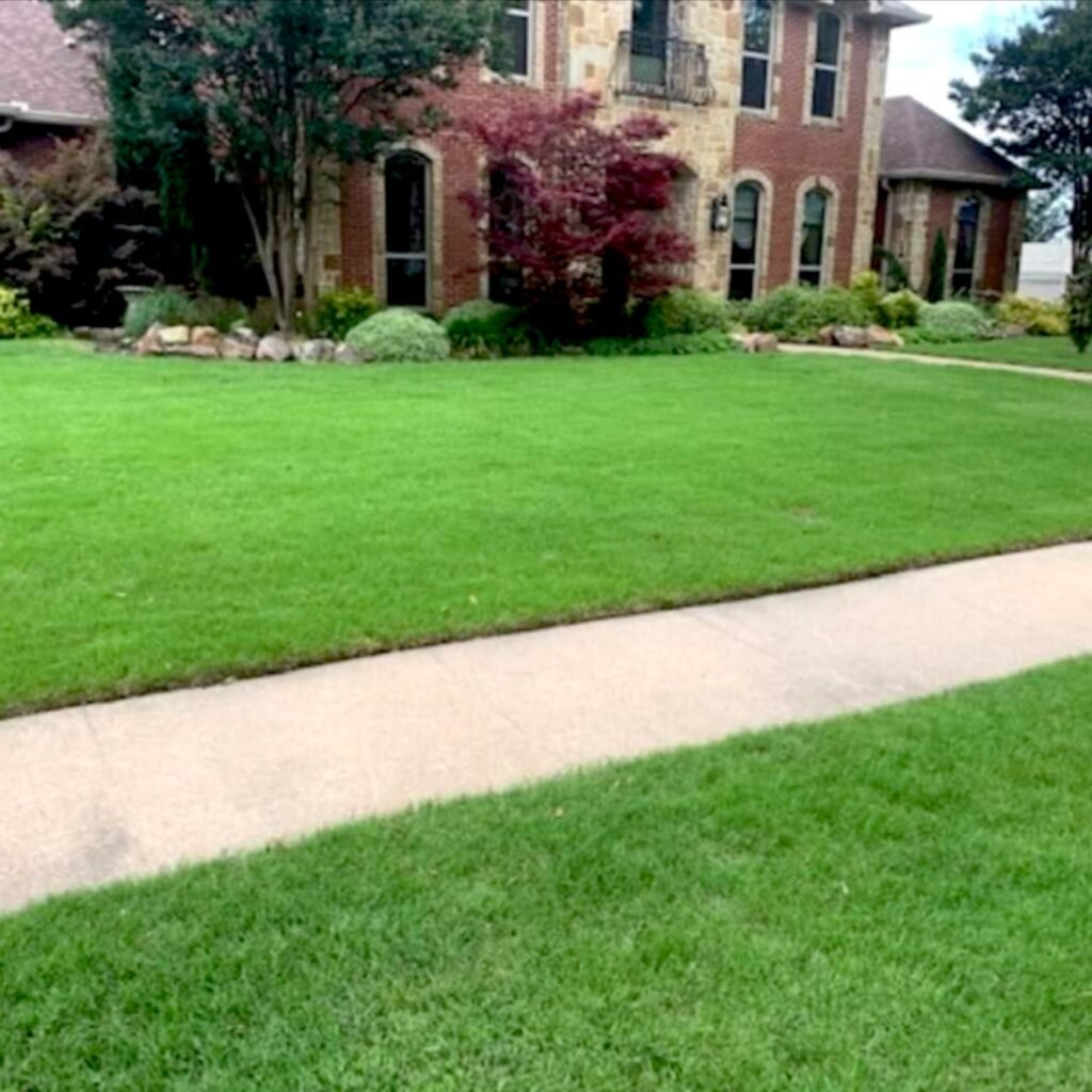 DIY frontyard landscape well cared for healthy established sod