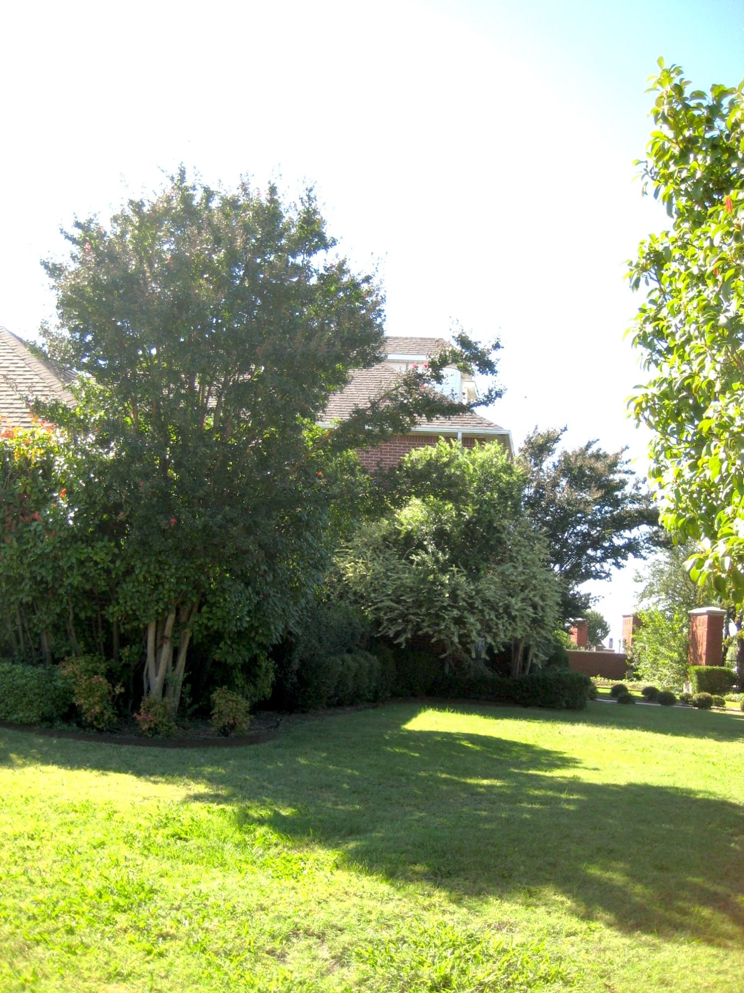 Our large overgrown yard met its match! DIY frontyard landscape.